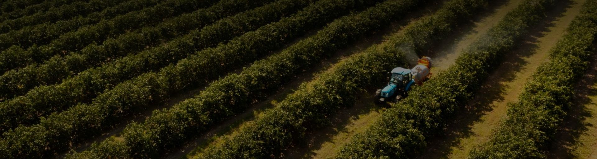 Avances tecnológicos que están revolucionando la agricultura
