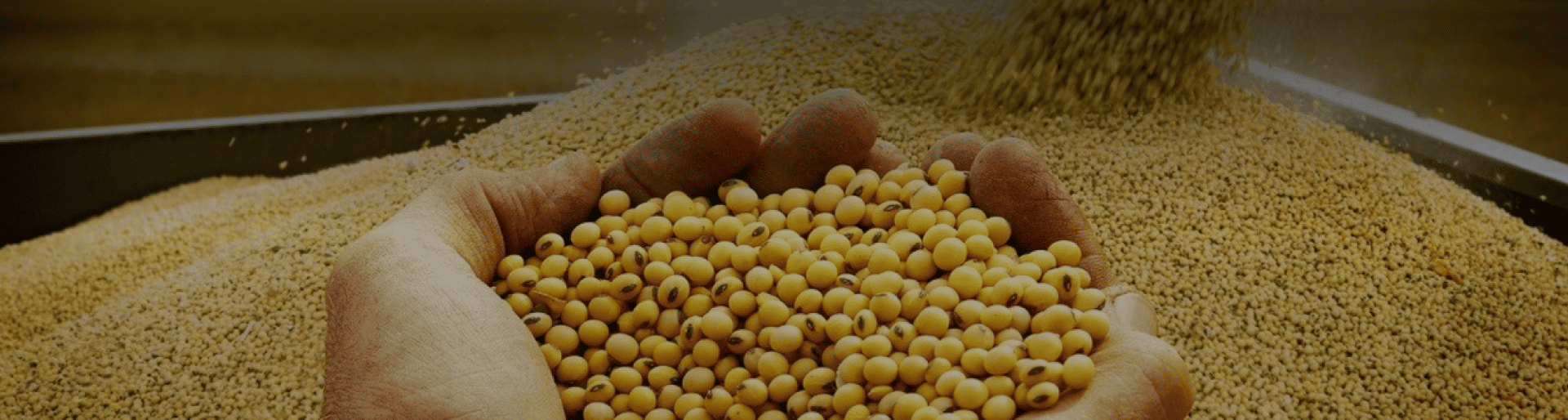 Commodities