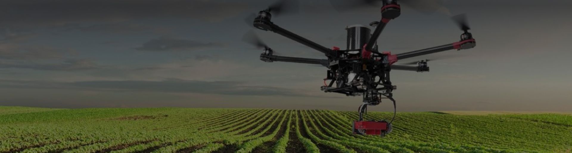 Uso de la tecnología responsable en el campo