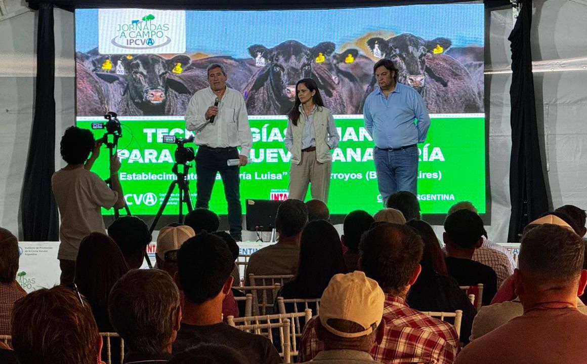 Reviva en video la Jornada a Campo del IPCVA en Tres Arroyos, Buenos Aires
