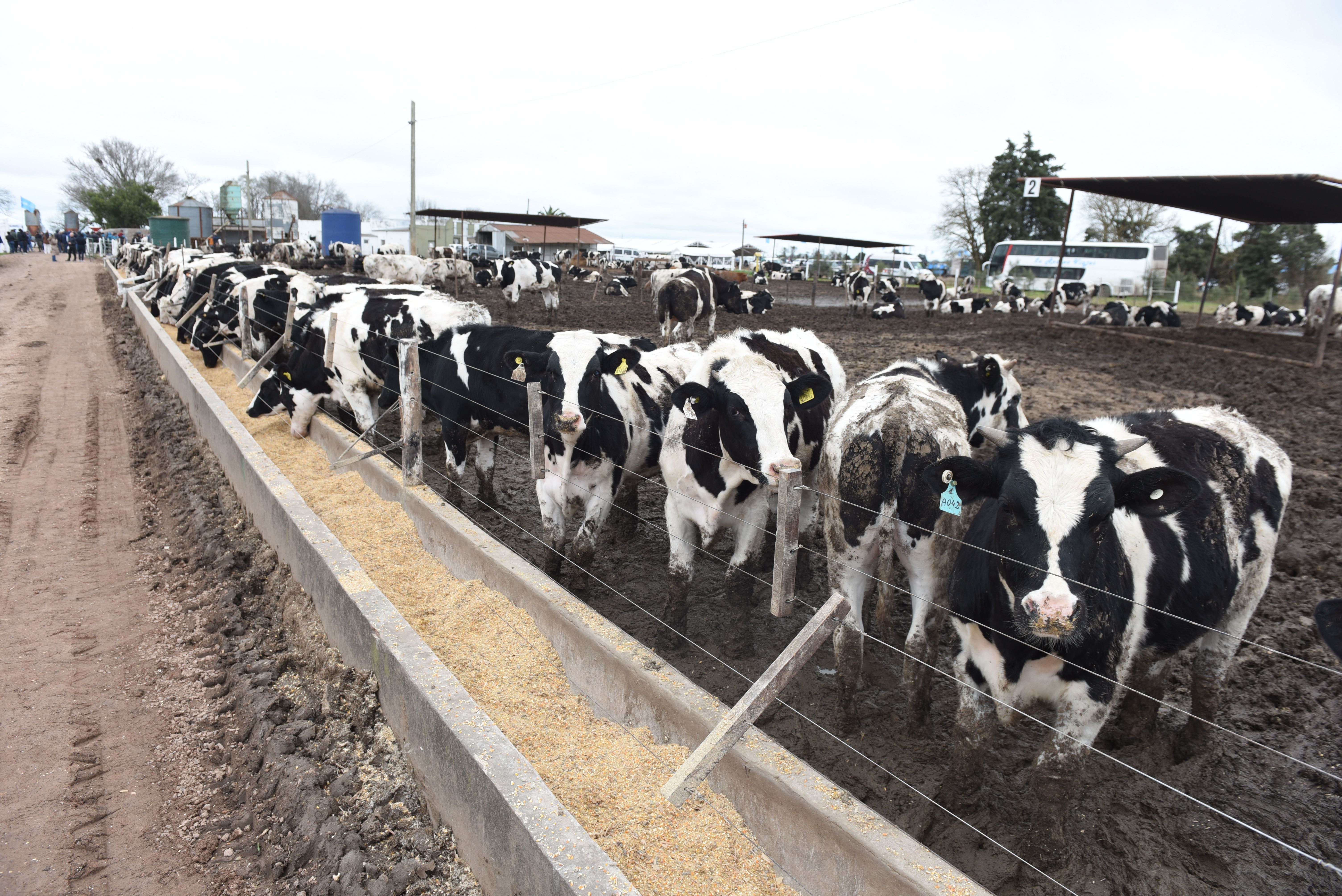 Más de 400 productores Jornada a Campo del IPCVA en Humboldt