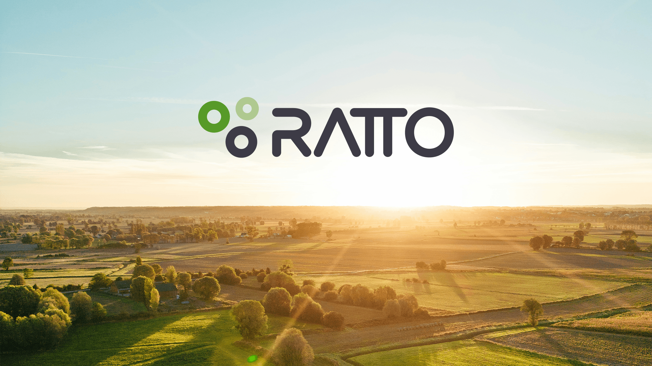 Ratto